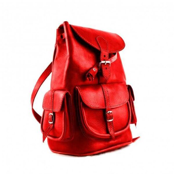 Rucksack aus rot braunem Echt Leder City Rucksack