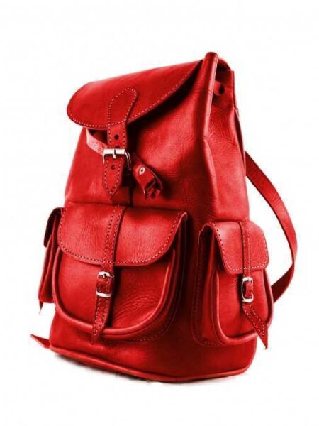 Rucksack aus rot braunem Echt Leder City Rucksack