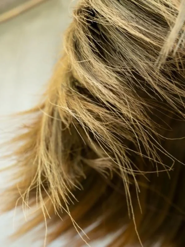 Die Pendelleuchte Makiki – Handgeflochtene Rattan-Hängeleuchte trendliebe