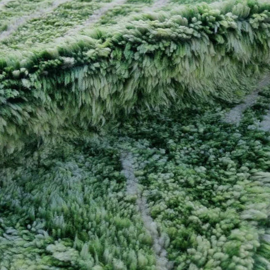 Beni Mrirt Berberteppich ein Unikat von seltener Schönheit