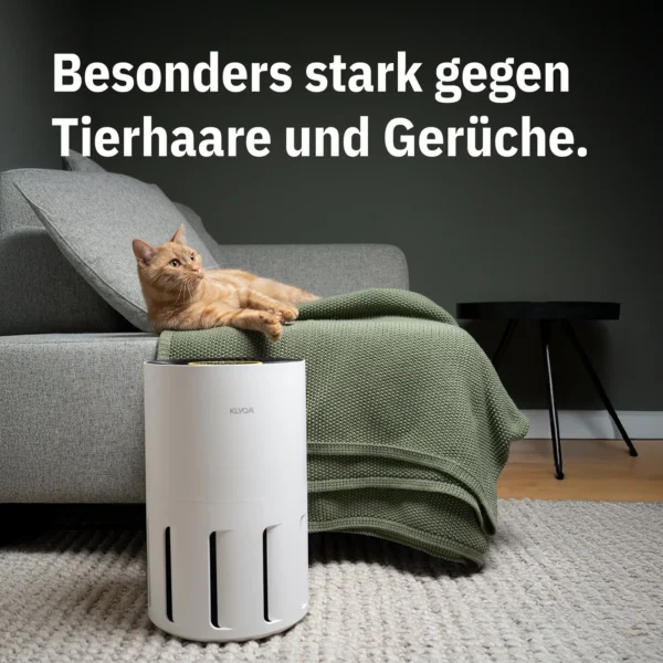 Air Klyna S Luftreiniger der Katzenallergie oder Hundeallergie Trendliebe